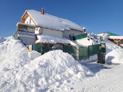Pronájem